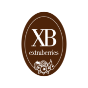 (c) Extraberries.com
