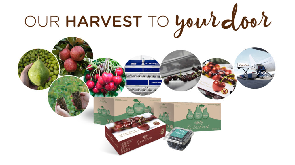 Our Harvest to Your Door